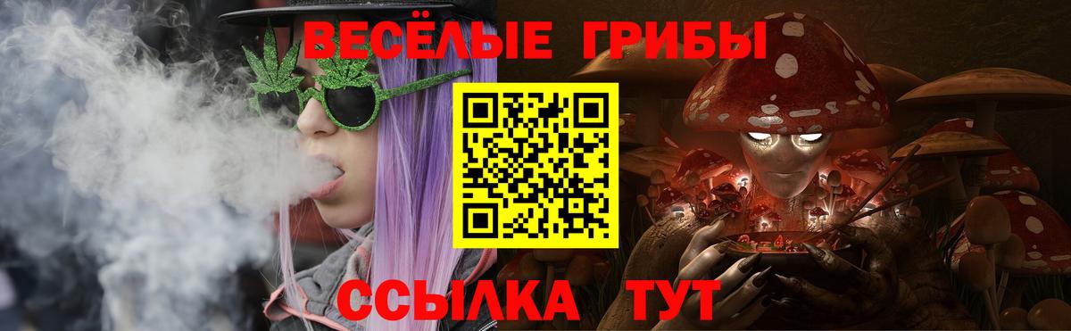 Галлюциногенные грибы MAGIC MUSHROOMS  Вход с VPN  Пенза 